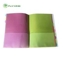 office supply pp file folder portfolio plastic pp  document folder